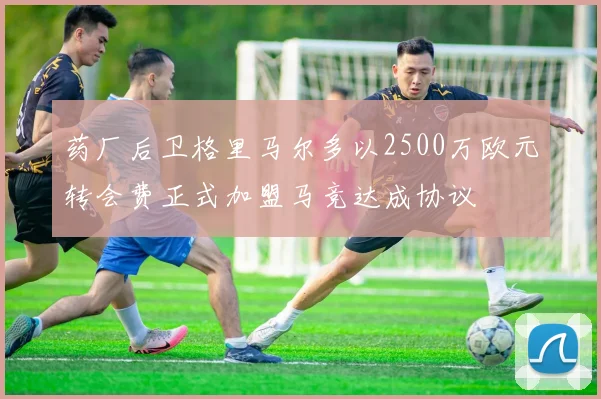 药厂后卫格里马尔多以2500万欧元转会费正式加盟马竞达成协议